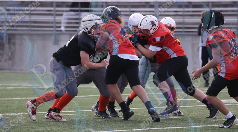 East vs West 20251026_129.jpg