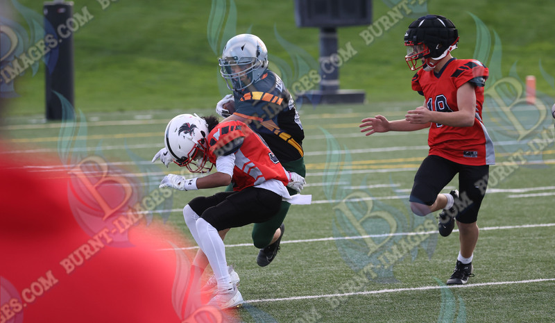 East vs West 20251026_130.jpg