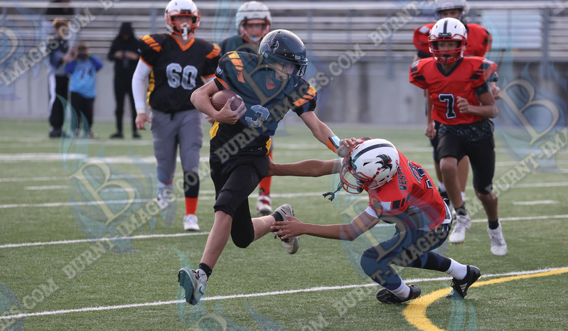 East vs West 20251026_132.jpg