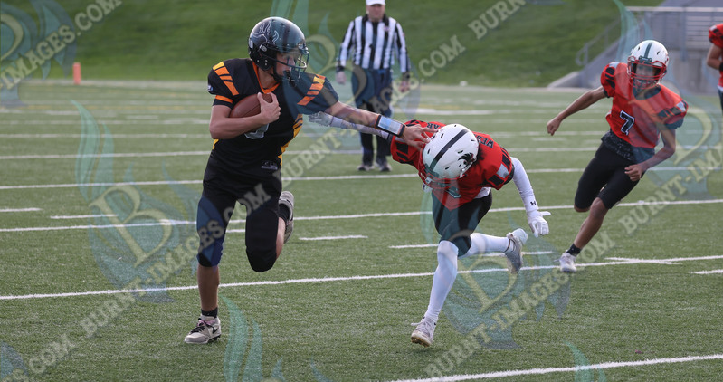 East vs West 20251026_133.jpg