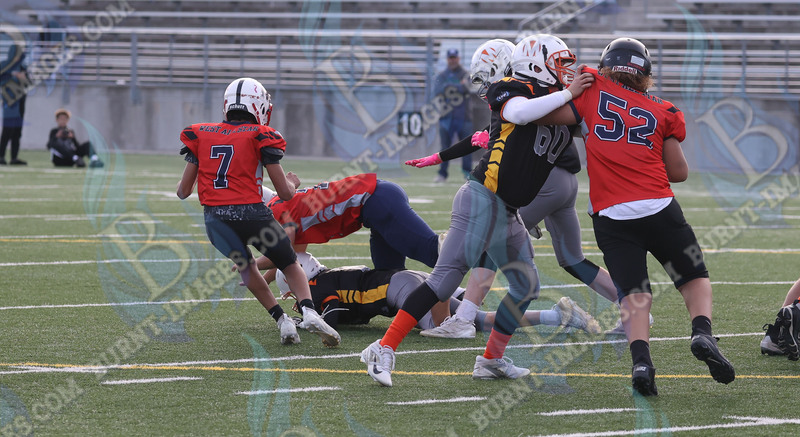 East vs West 20251026_134.jpg