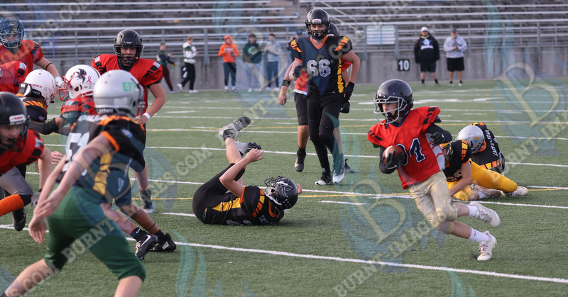 East vs West 20251026_136.jpg