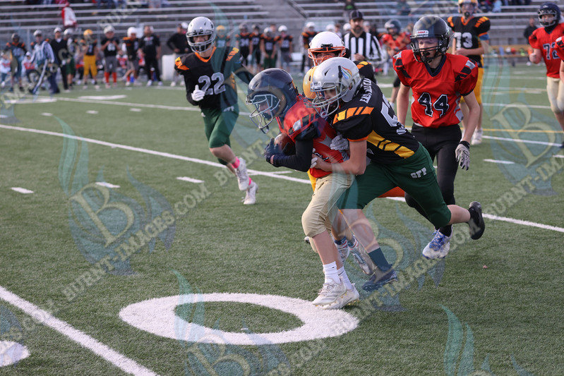 East vs West 20251026_140.jpg