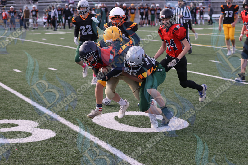 East vs West 20251026_141.jpg