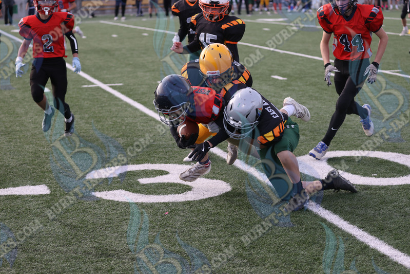 East vs West 20251026_142.jpg