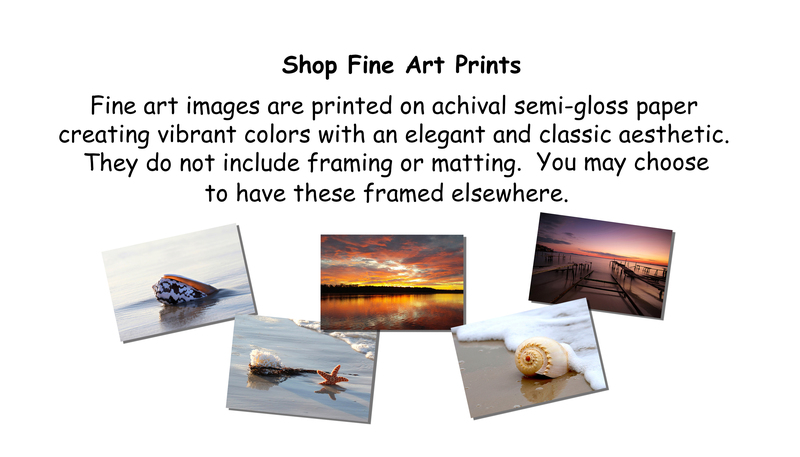 1_Fine Art Prints.jpg