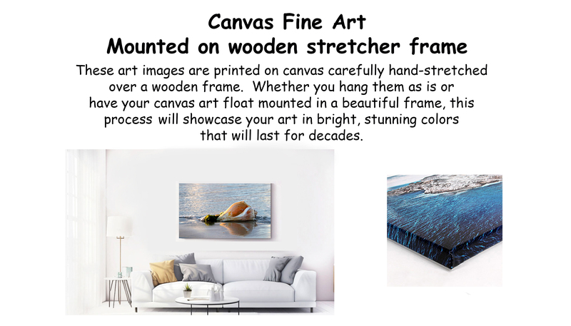 2_CanvasStretcher.jpg