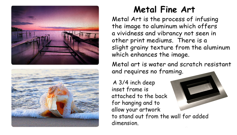 3_Fine Art Metal.jpg
