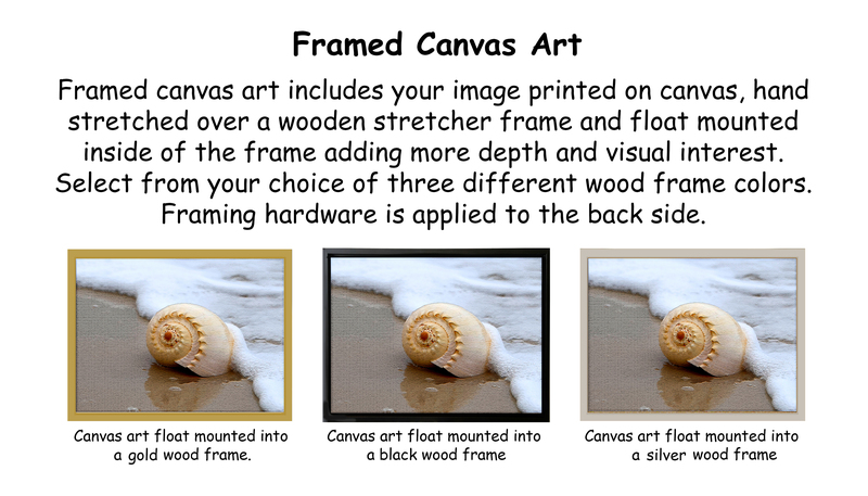4_Framed Canvas Art_2.jpg