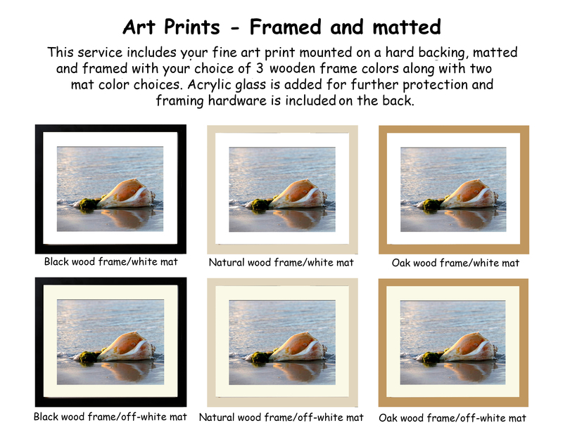 5_Art prints Framed and matted.jpg
