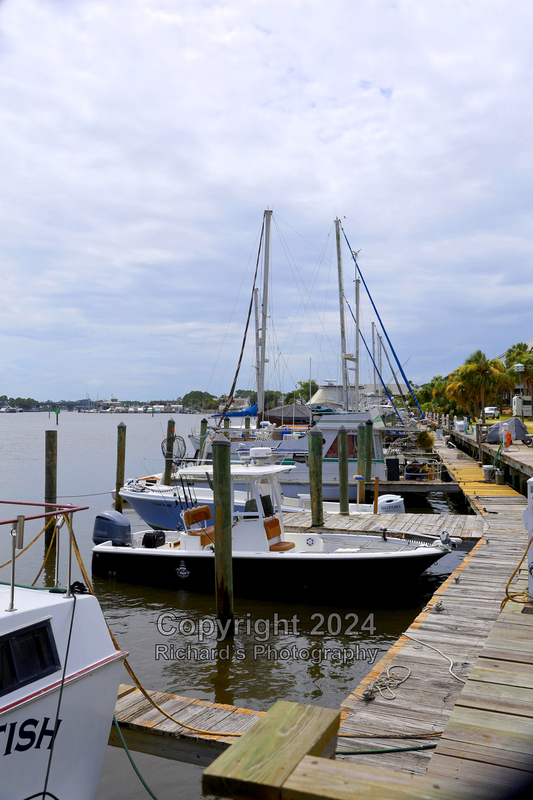 Coastal_19(1).jpg