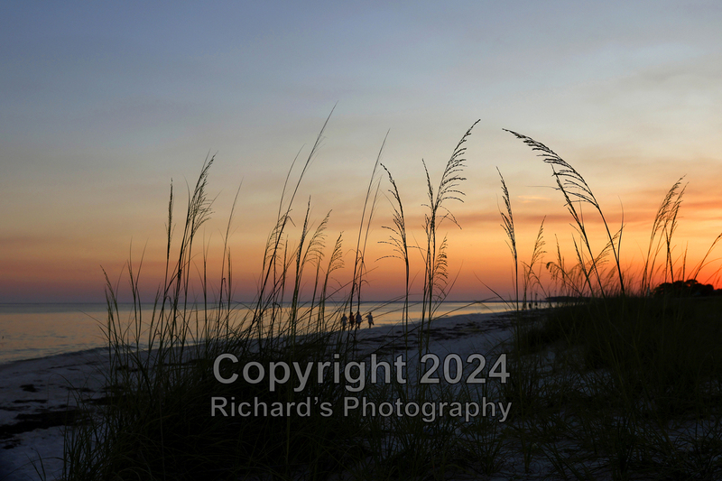 Coastal_2(3).jpg