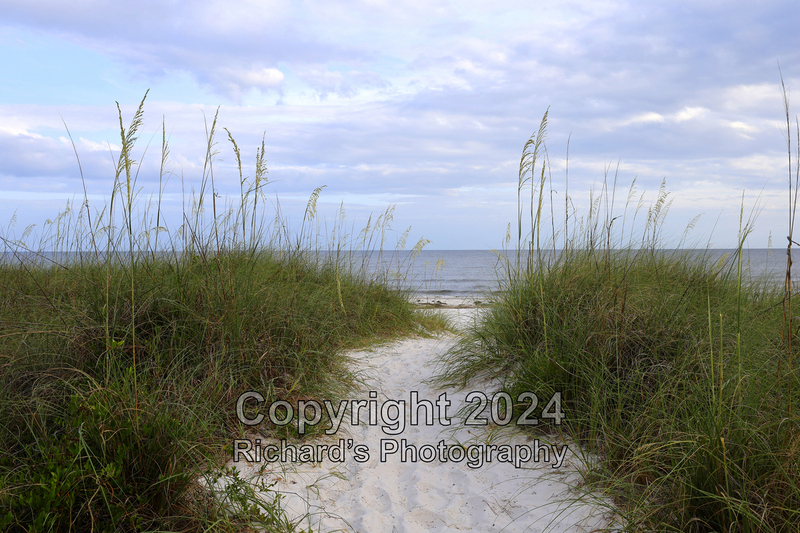 Coastal_9(1).jpg