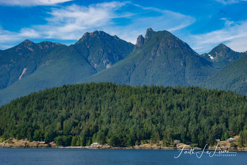 _DSC4132.jpg