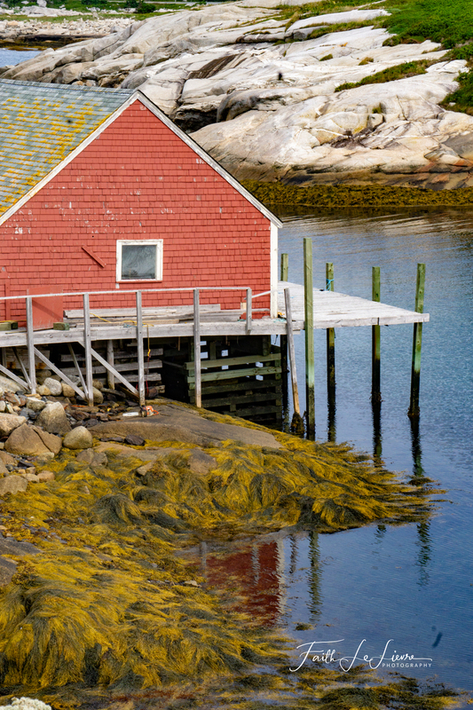 _DSC4796.jpg
