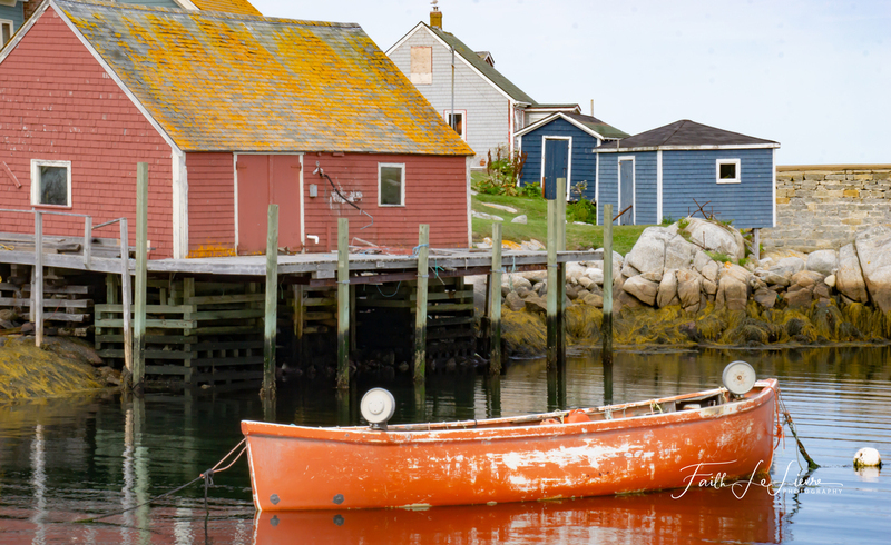 _DSC4812.jpg