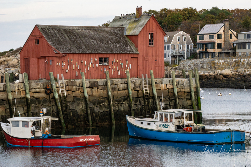 _DSC9598.jpg