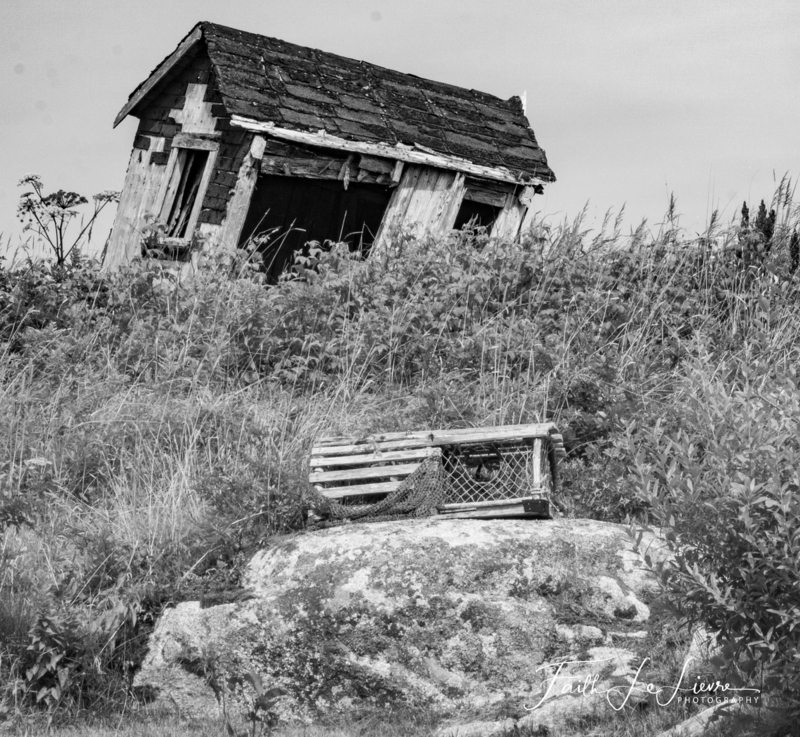 Crooked Cabin  a Lobster Trap.jpg