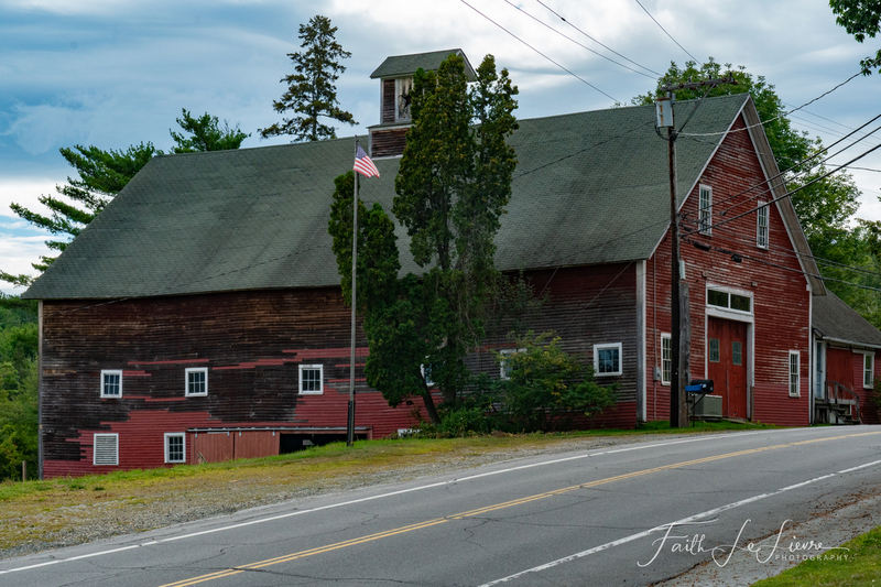 DSC02110.jpg