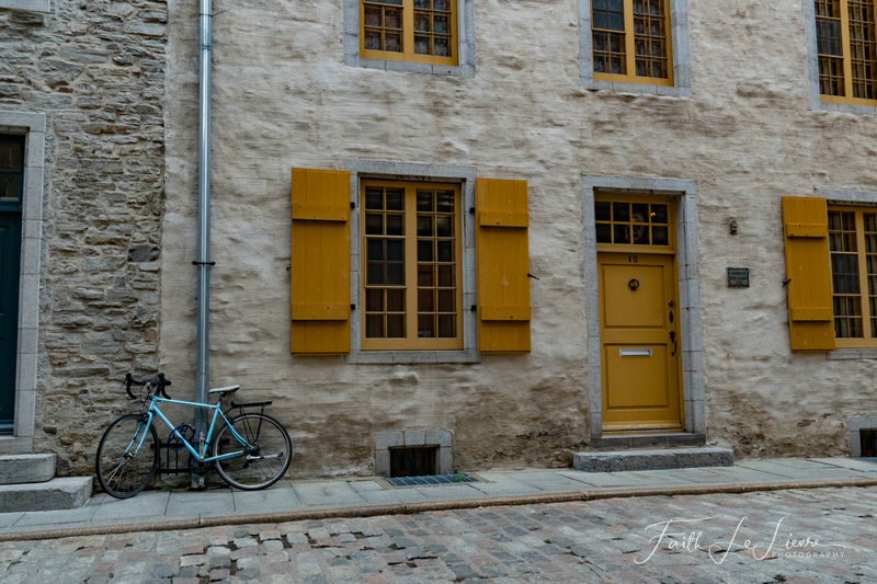 DSC02156(1).jpg