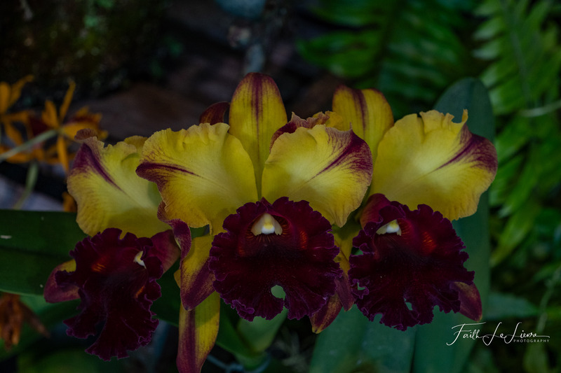 DSC05710.jpg
