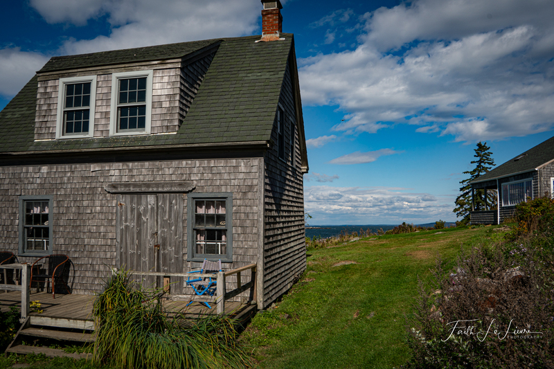 DSC06594(1).jpg