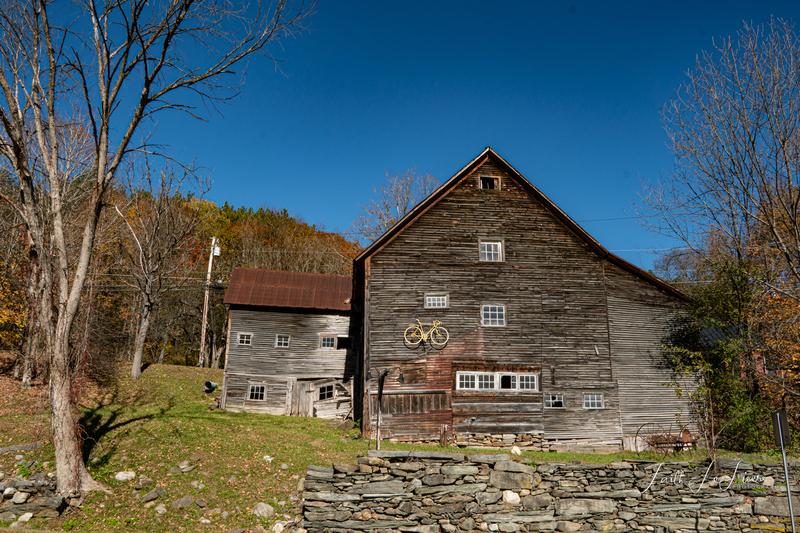 DSC06833(1).jpg