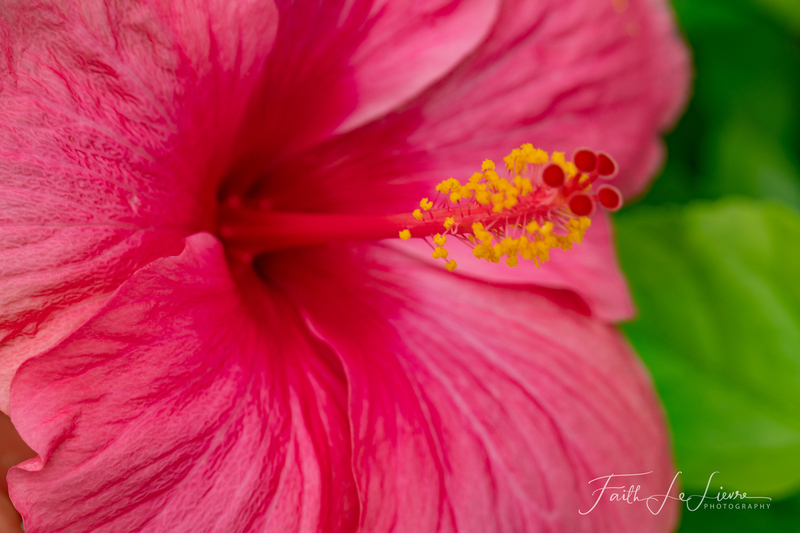 DSC07068.jpg