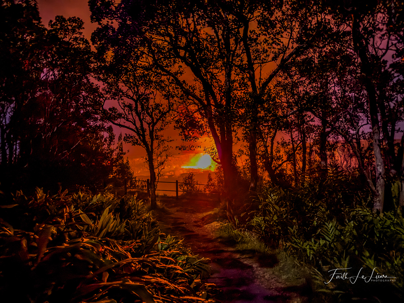 IMG_2306 Glow in the Night .jpg
