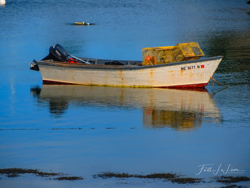 IMG_2599.jpg