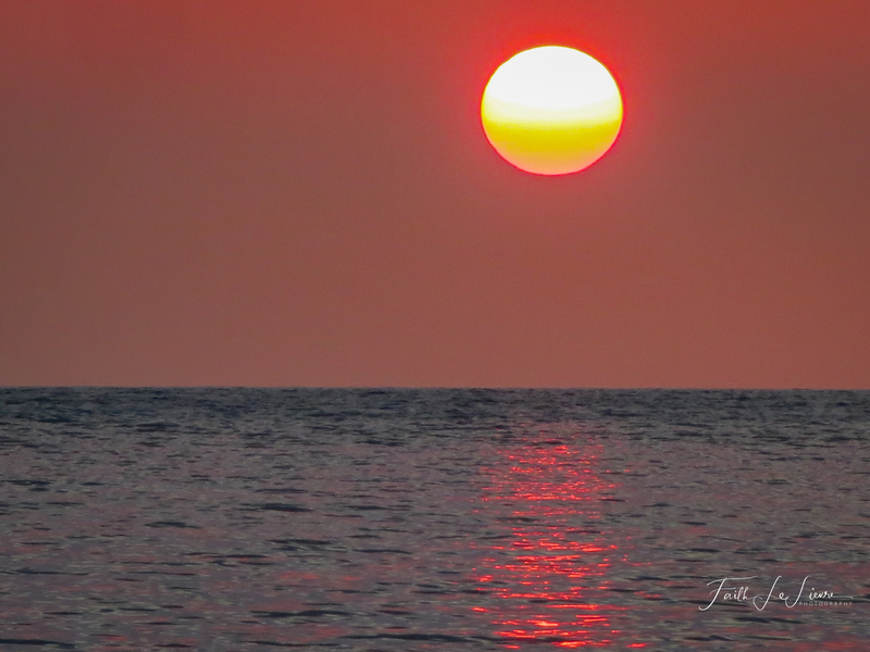 IMG_5070.jpg