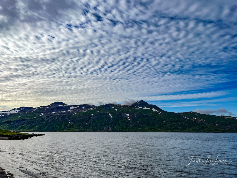 IMG_6720.jpg