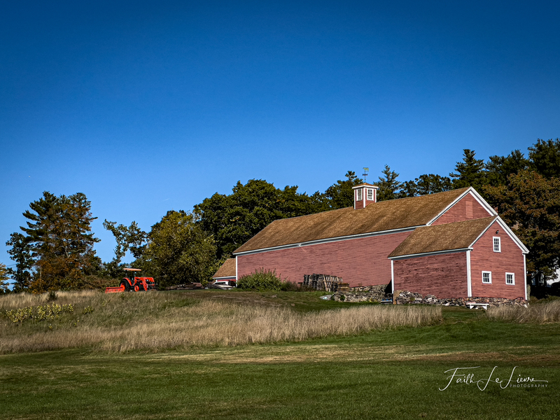 IMG_7776.jpg
