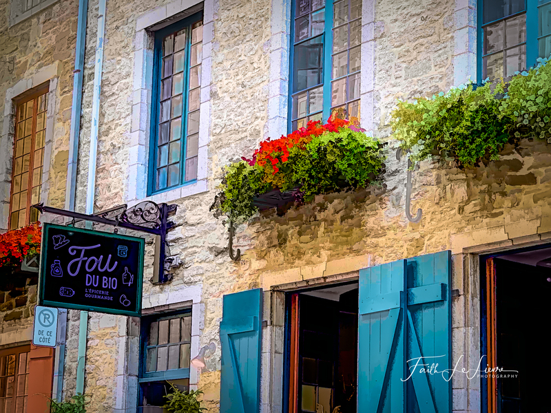 Quebec City Fou du Bio.jpg