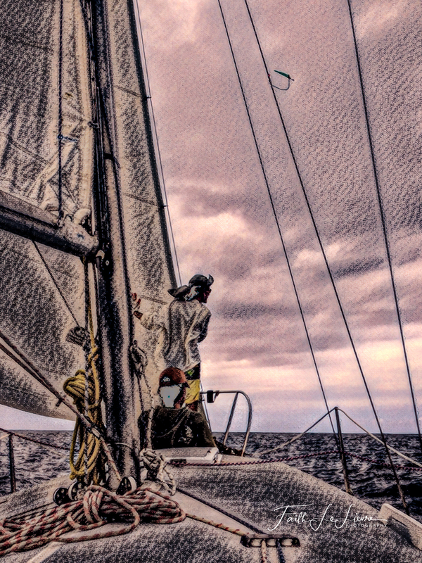 SAIL AWAY.jpg