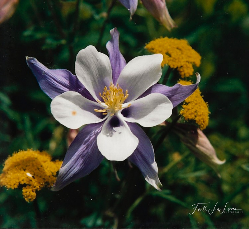 Scan 2023-12-23 141011.jpg