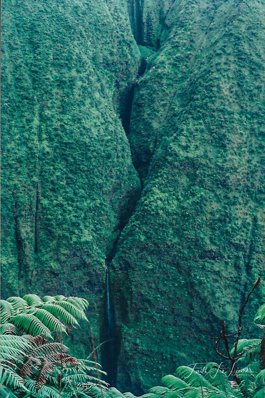 Scan 2023-12-23 141319.jpg