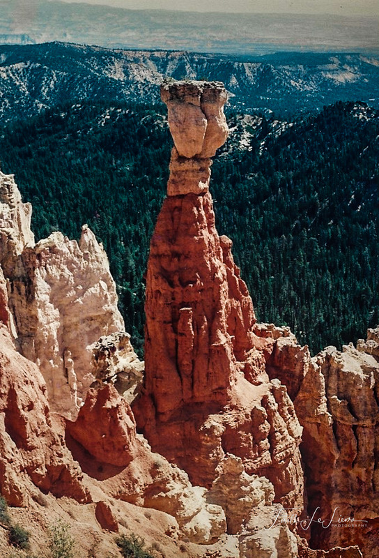 Scan 2023-12-23 202058.jpg