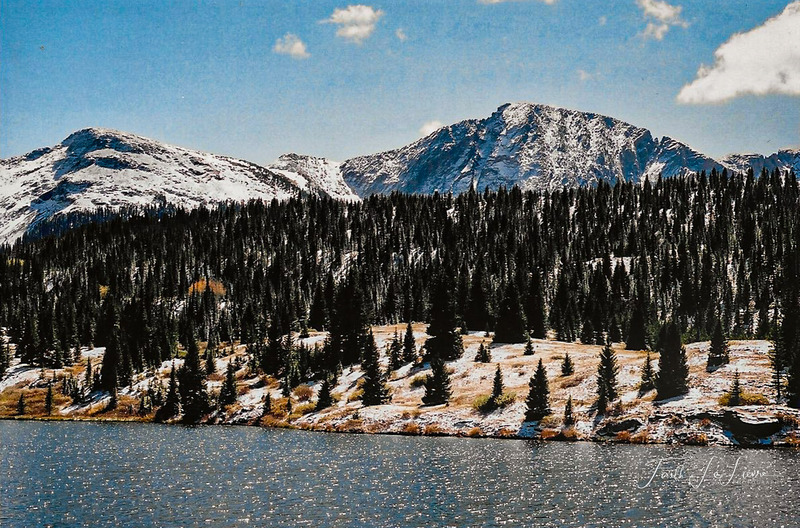 Scan 2023-12-23 221425.jpg