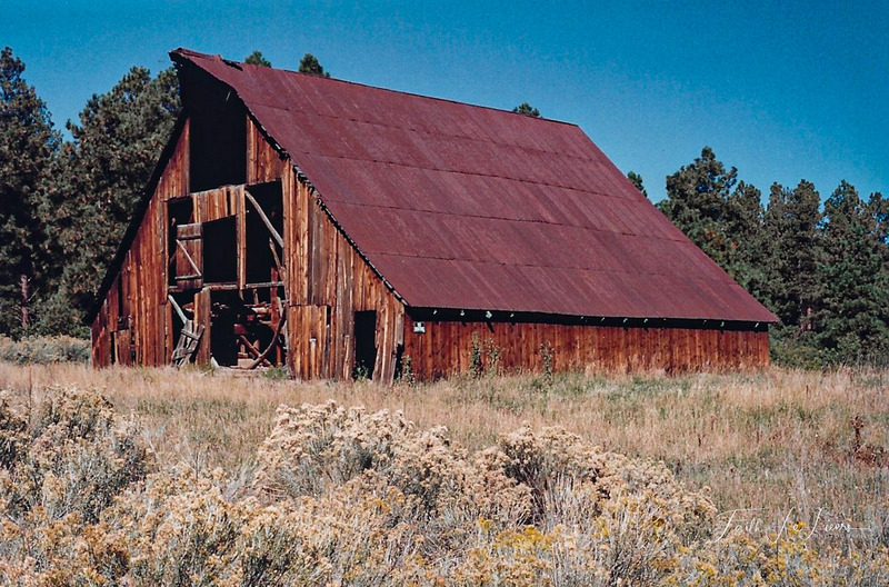 Scan 2023-12-23 233354-2.jpg