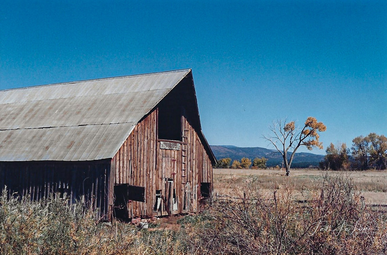 Scan 2023-12-24 142319-2.jpg
