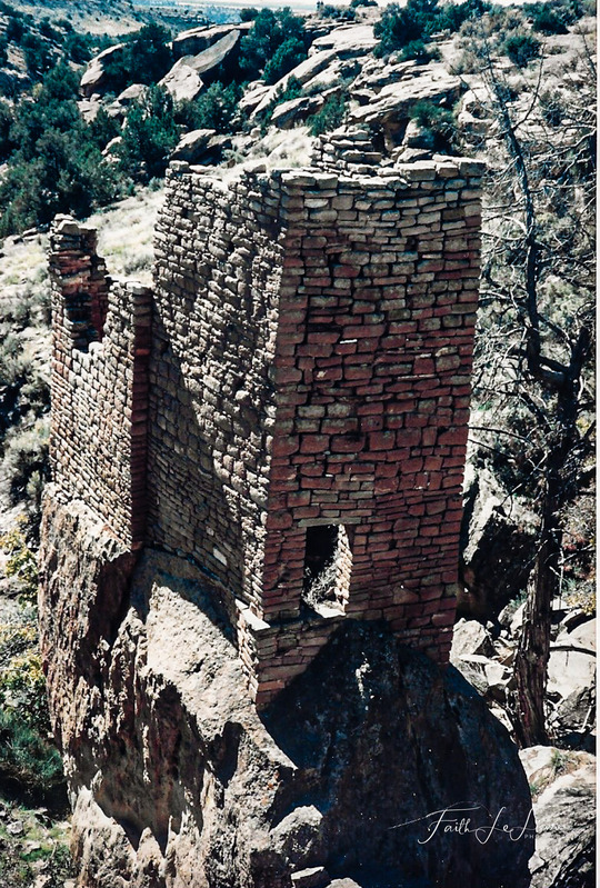 Scan 2024-1-1 164222.jpg