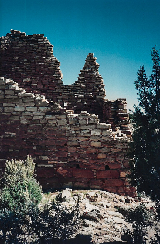 Scan 2024-1-1 164456.jpg