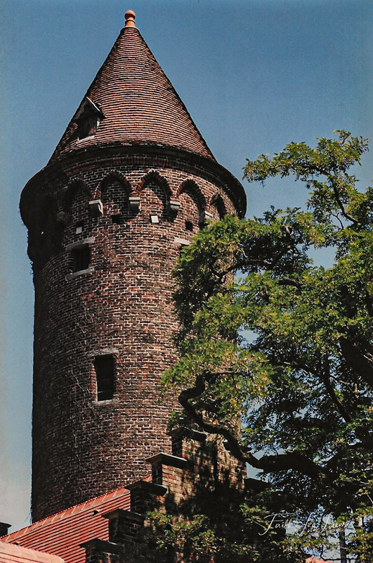 Scan 2024-1-1 184751.jpg