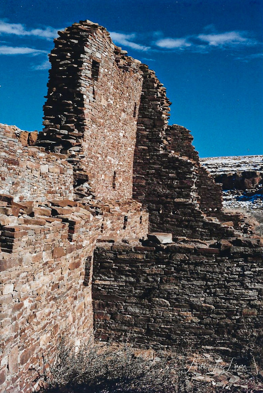 Scan 2024-1-3 105614.jpg