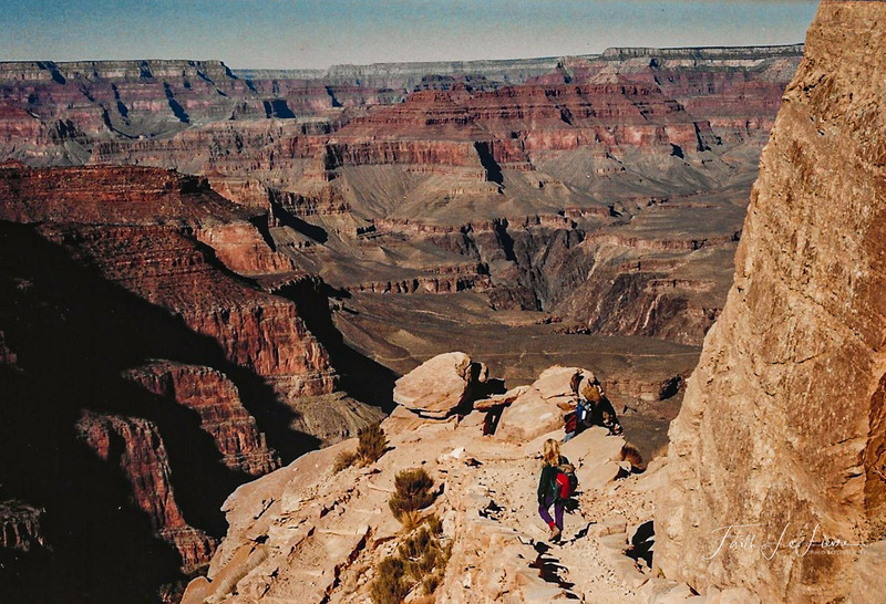 Scan 2024-1-3 170824.jpg