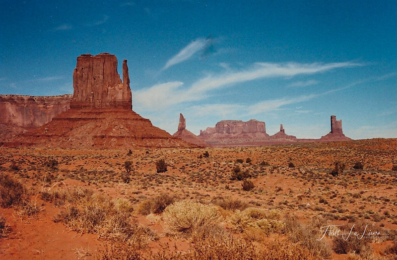 Scan 2024-1-3 171720-2.jpg