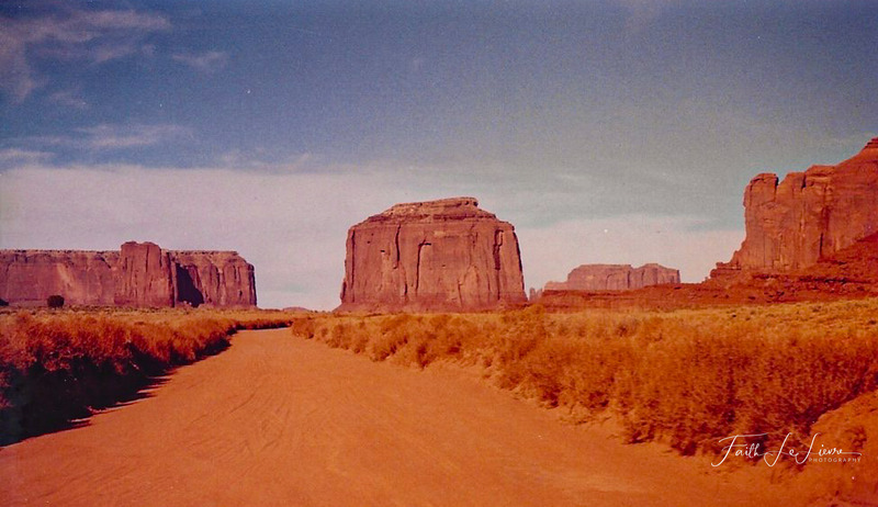 Scan 2024-1-3 172024-2.jpg