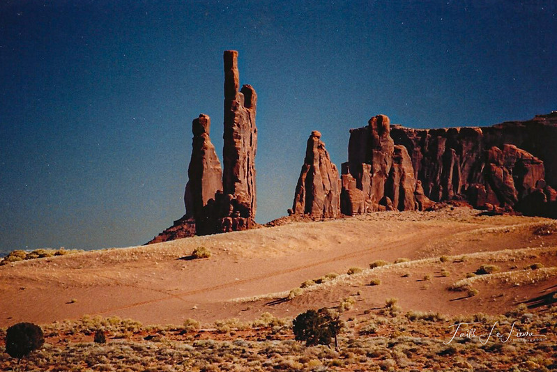 Scan 2024-1-3 172024.jpg