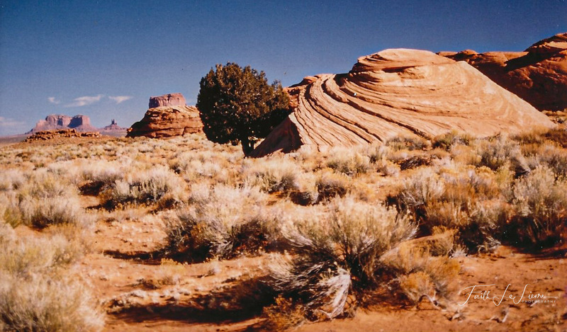 Scan 2024-1-3 172325.jpg